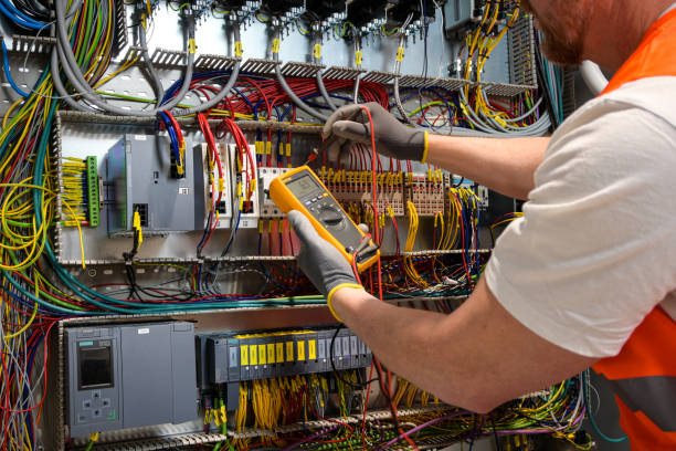 Best Electric Panel Repair  in Cane Savannah, SC